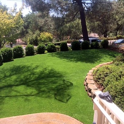 Synthetic Turf Scenic Oaks Texas Lawn Back Yard