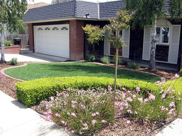 Artificial Grass Ames Texas Lawn Front Yard