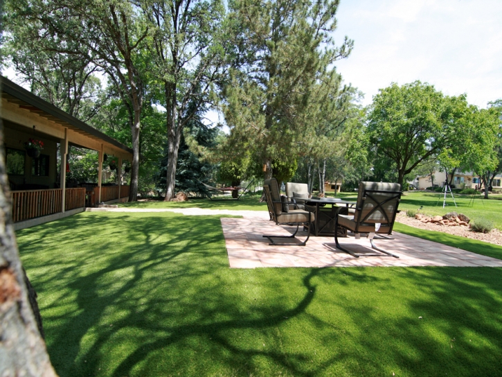 Artificial Grass Anderson Mill Texas Landscape Back Yard