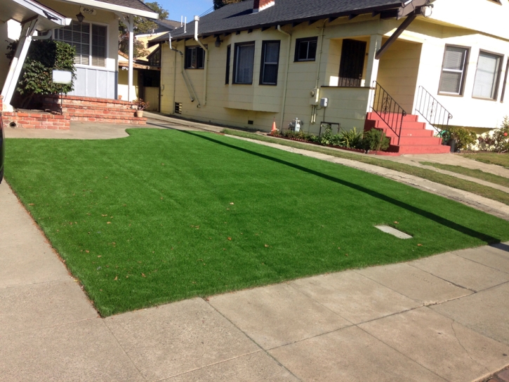 Artificial Grass Balcones Heights Texas Lawn Front Yard