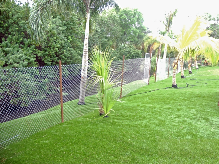 Artificial Grass Bertram Texas Landscape Back Yard