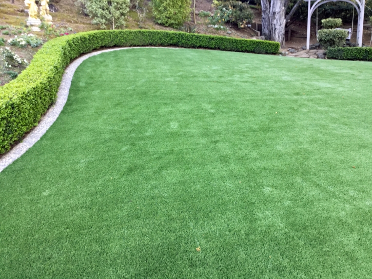 Artificial Grass Blue Ridge Texas Lawn