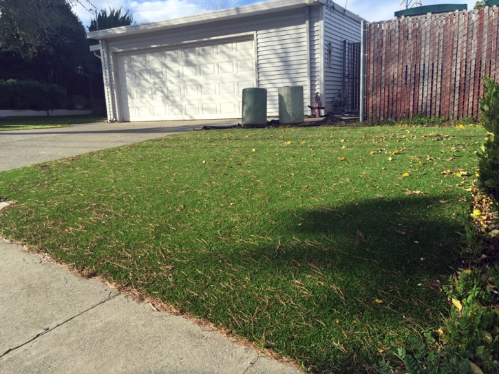 Artificial Grass Bremond Texas Lawn Front Yard