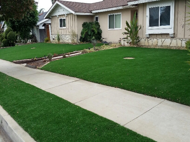 Artificial Grass Bulverde Texas Lawn Front Yard