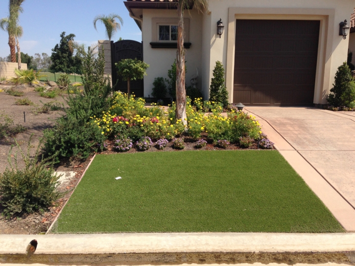 Artificial Grass Canyon Lake Texas Lawn Front Yard