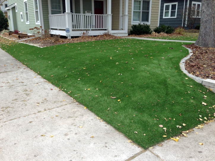 Artificial Grass Converse Texas Landscape Front Yard