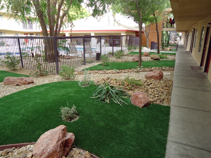 Artificial Grass Creedmoor Texas Landscape Commercial Landscape