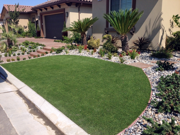 Artificial Grass Driftwood Texas Landscape Front Yard