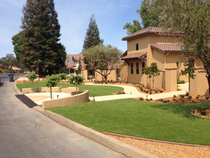 Artificial Grass Dripping Springs Texas Landscape Front