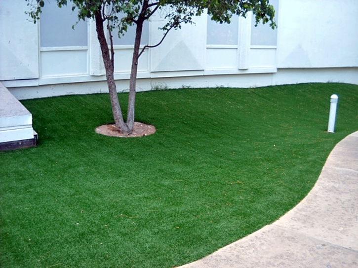 Artificial Grass Fair Oaks Ranch Texas Lawn Commercial Landscape