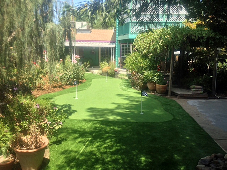 Artificial Grass Fayetteville Texas Landscape