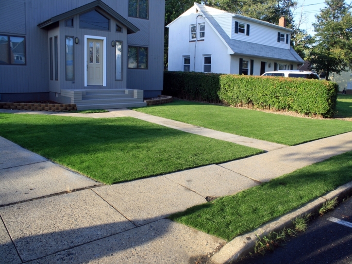 Artificial Grass Fayetteville Texas Lawn Front Yard