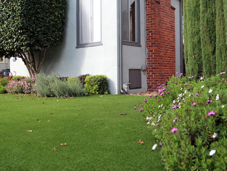 Artificial Grass Fort Gates Texas Lawn Front Yard