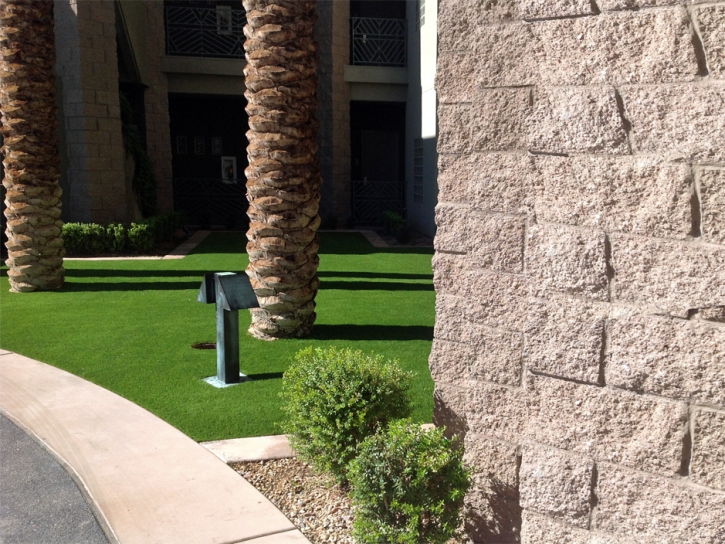 Artificial Grass Harker Heights Texas Lawn Commercial Landscape