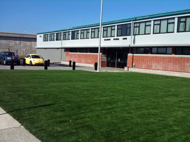 Artificial Grass Hays Texas Landscape Commercial Landscape