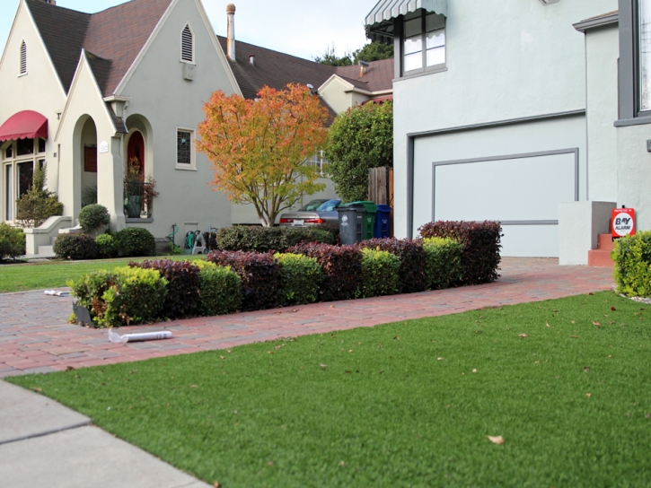 Artificial Grass Helotes Texas Landscape Front Yard