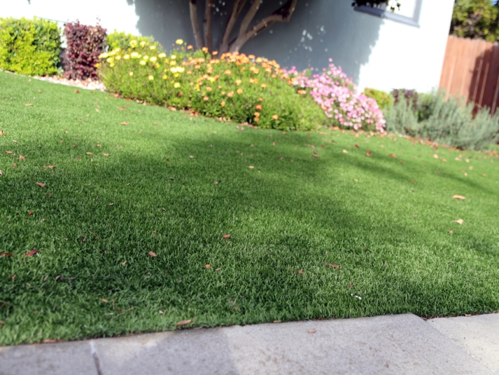 Artificial Grass Helotes Texas Lawn Front Yard