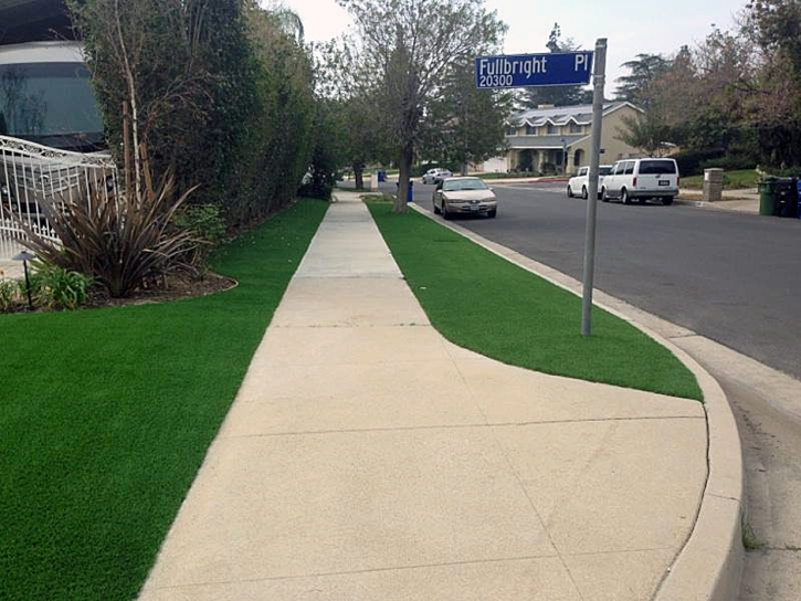 Artificial Grass Hornsby Bend Texas Landscape Front Yard