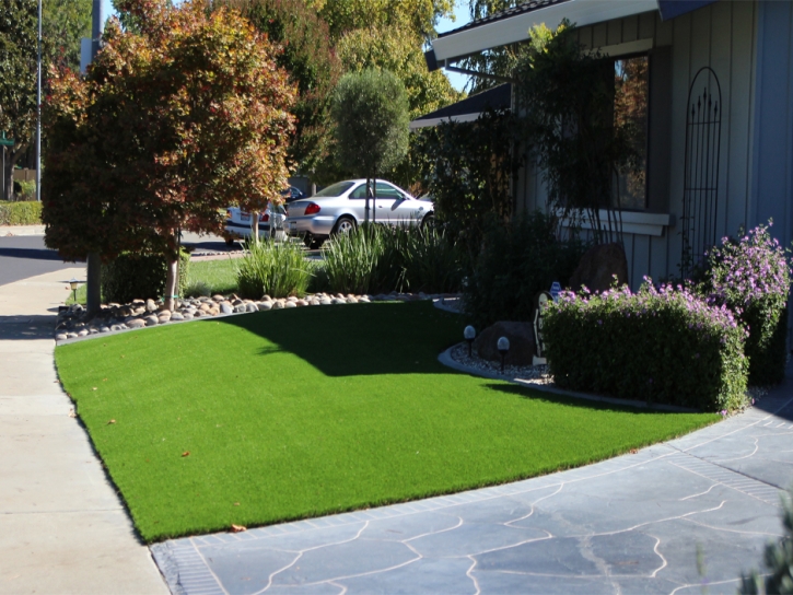 Artificial Grass Kempner Texas Landscape Front Yard