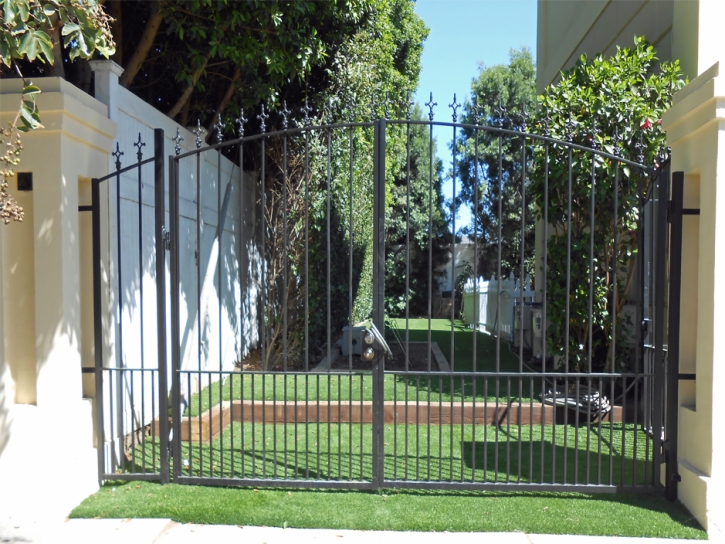 Artificial Grass Lake Dunlap Texas Landscape Front Yard