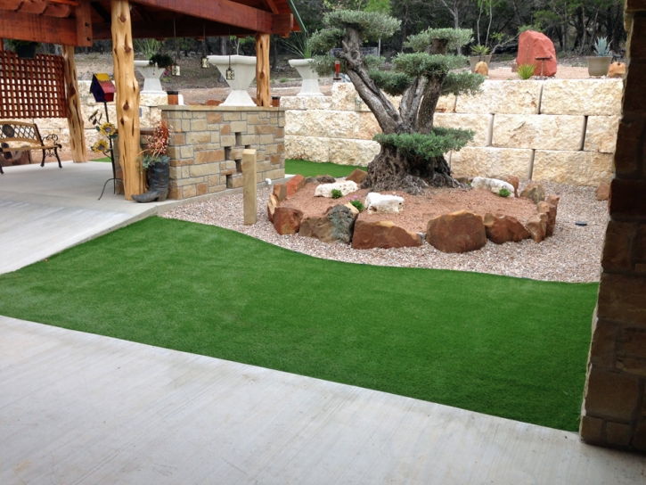 Artificial Grass Lexington Texas Landscape Back Yard