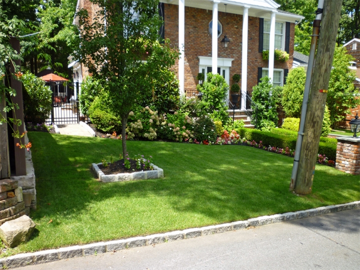 Artificial Grass Marble Falls Texas Landscape Front Yard