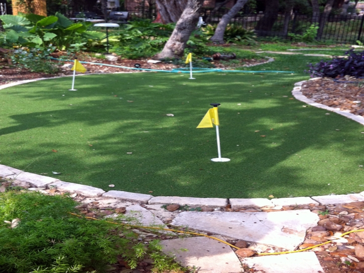 Artificial Grass Mustang Ridge Texas Landscape Back Yard