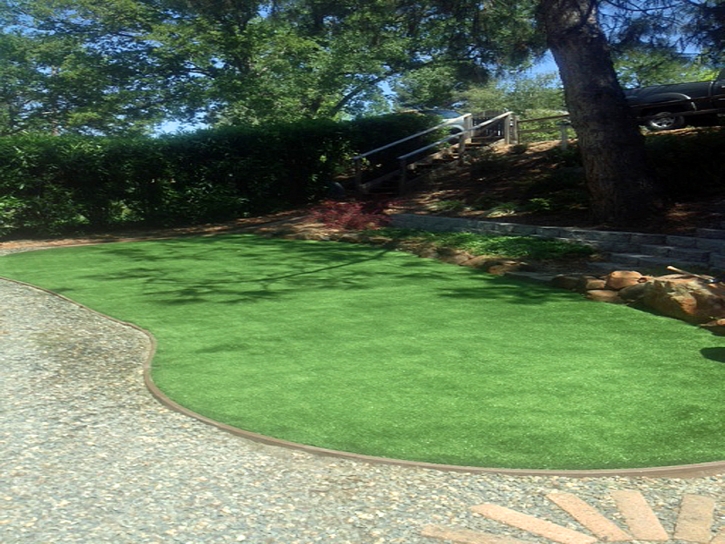 Artificial Grass Nixon Texas Landscape Back Yard