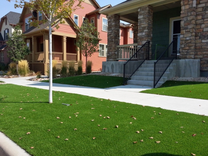 Artificial Grass Onion Creek Texas Landscape Front Yard