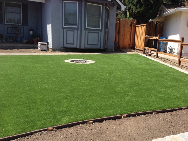 Artificial Grass Robinson Texas Lawn Back Yard