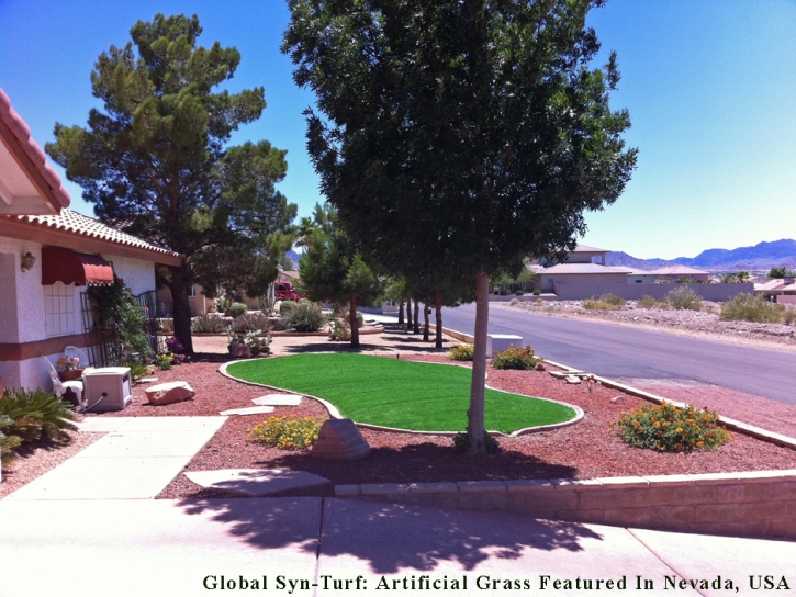 Artificial Grass Rollingwood Texas Landscape Front Yard