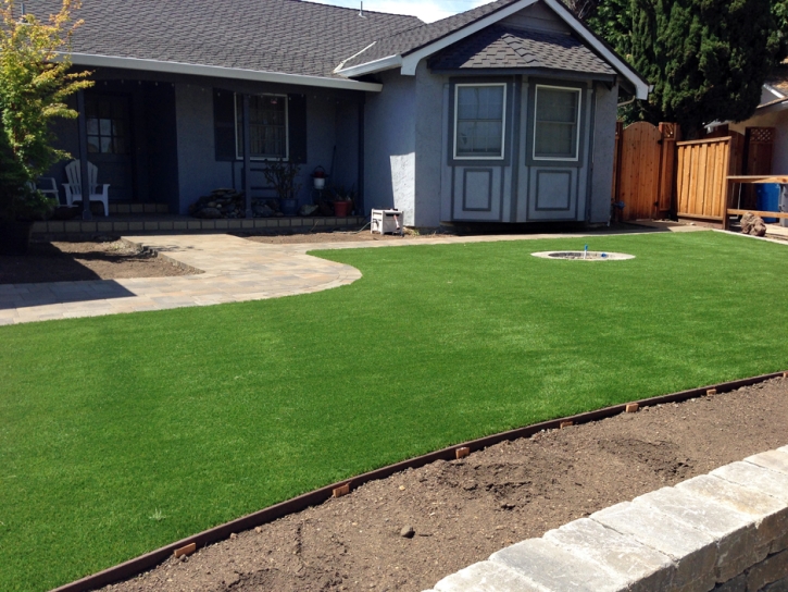 Artificial Grass Round Rock Texas Landscape Front Yard