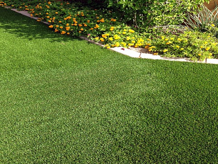 Artificial Grass Scenic Oaks Texas Landscape Front Yard