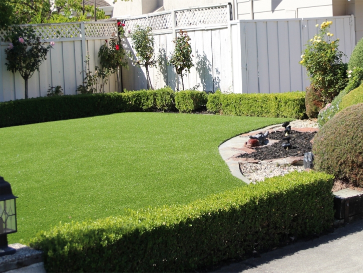 Artificial Grass Schertz Texas Lawn Back Yard Front Yard