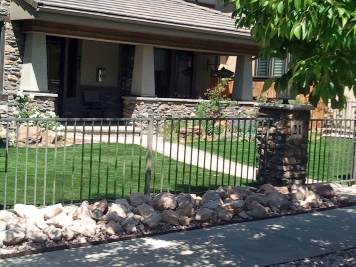 Artificial Grass Schulenburg Texas Lawn Front Yard