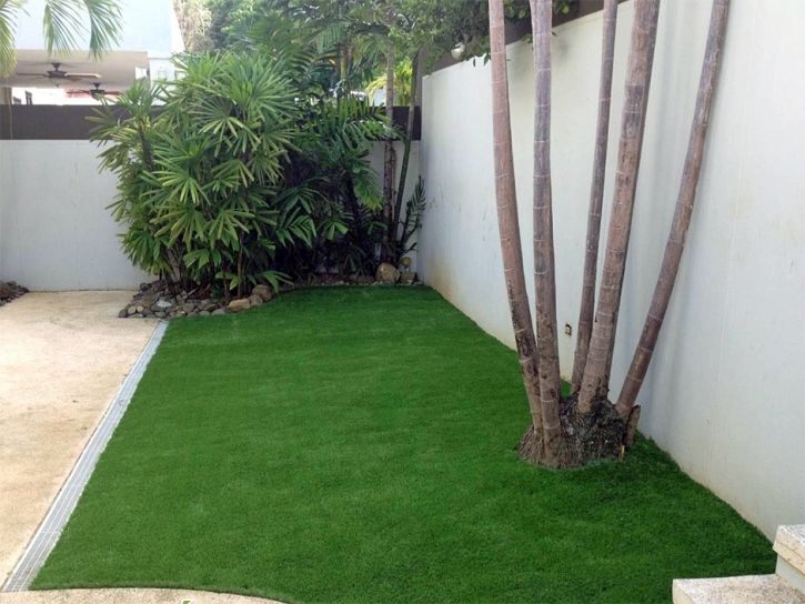 Artificial Grass Selma Texas Landscape Back Yard