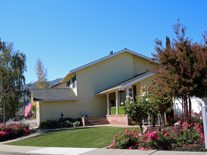 Artificial Grass Somerville Texas Lawn Front Yard