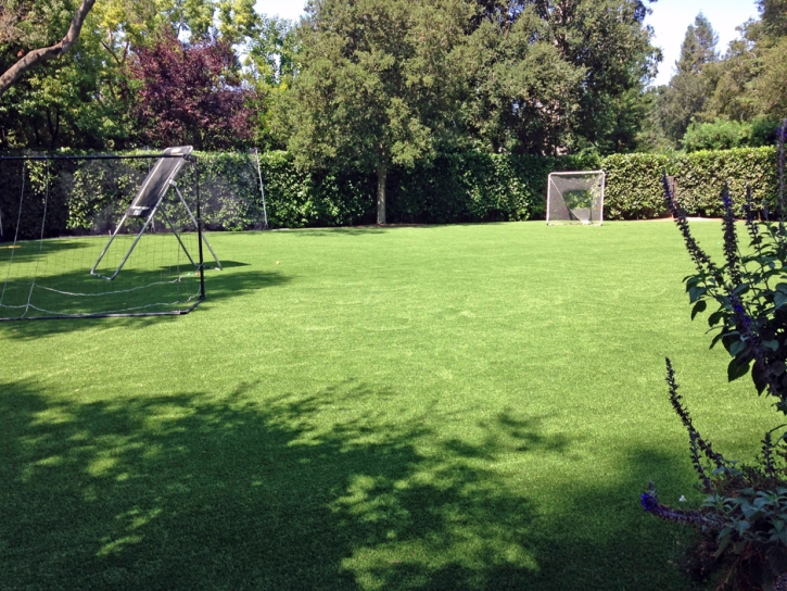 Artificial Grass Sports Fields Camp Swift Texas Back Yard