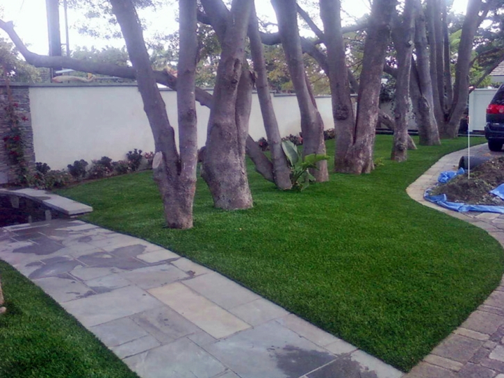 Artificial Grass Stonewall Texas Landscape Front Yard