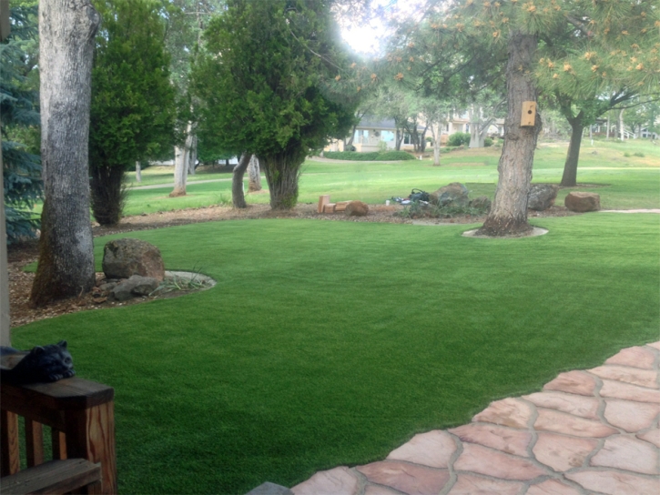 Artificial Grass Taylor Texas Lawn Front Yard