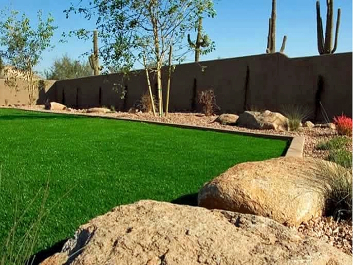 Artificial Grass Timberwood Park Texas Lawn Back Yard