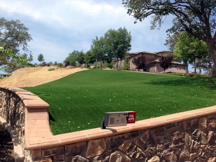 Artificial Grass Union Grove Texas Landscape Front Yard