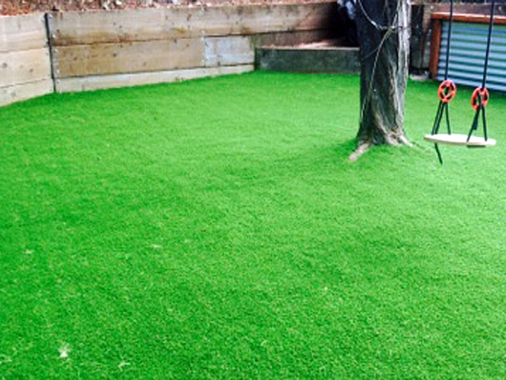 Artificial Grass Waelder Texas Kids Safe Back Yard