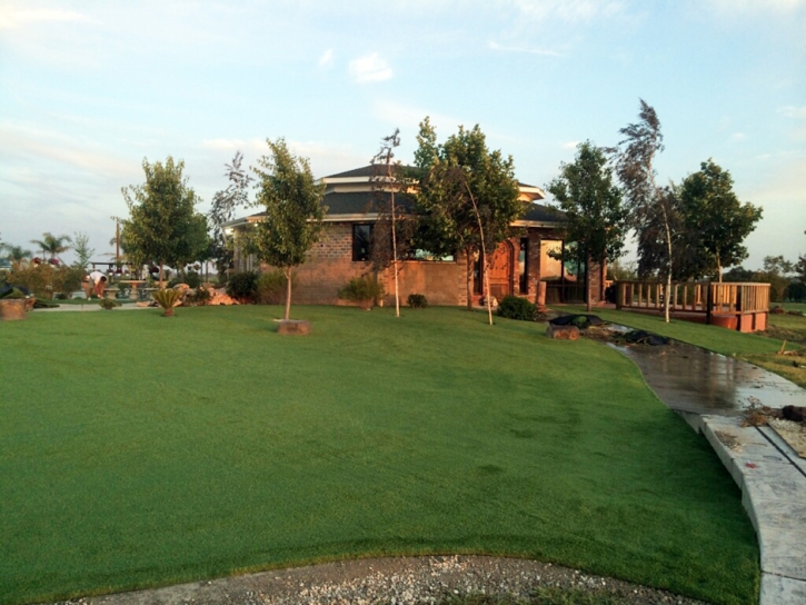 Artificial Grass Webberville Texas Lawn Commercial Landscape