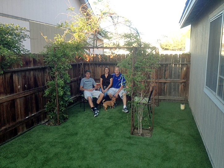 Artificial Pet Grass Terrell Hills Texas Installation Dogs