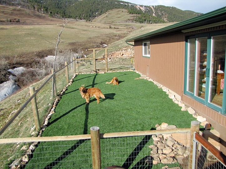 Artificial Pet Turf Buda Texas Installation Dogs Back Yard