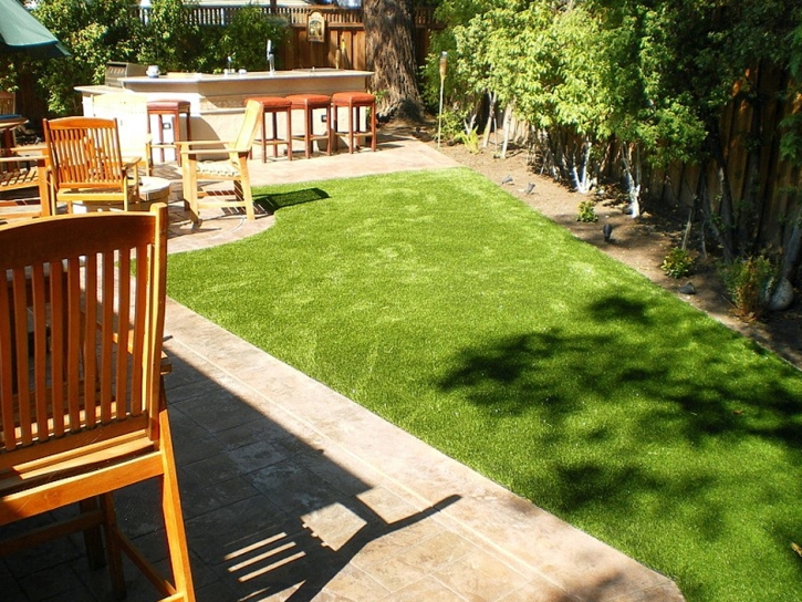 Artificial Pet Turf Lakeway Texas Installation Back Yard