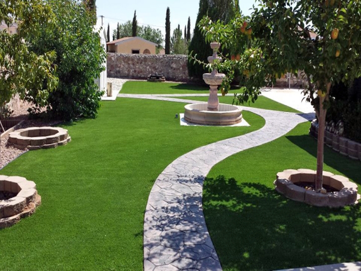 Artificial Turf Blanco Texas Landscape Back Yard