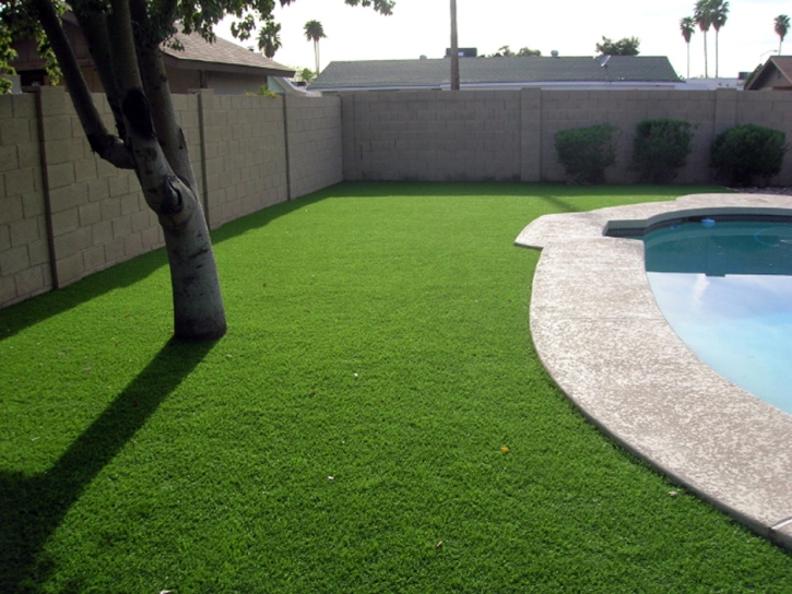 Artificial Turf Buchanan Dam Texas Landscape Summer Pools