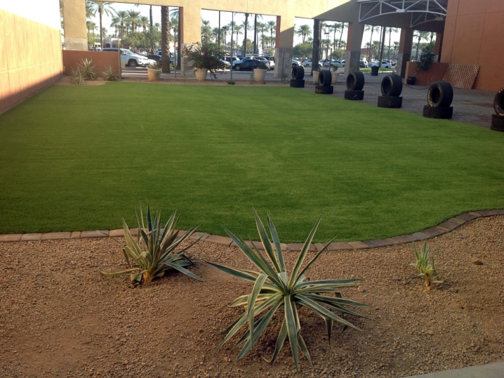 Artificial Turf Buchanan Lake Village Texas Lawn Commercial